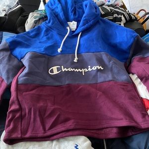 Champion sweater size large